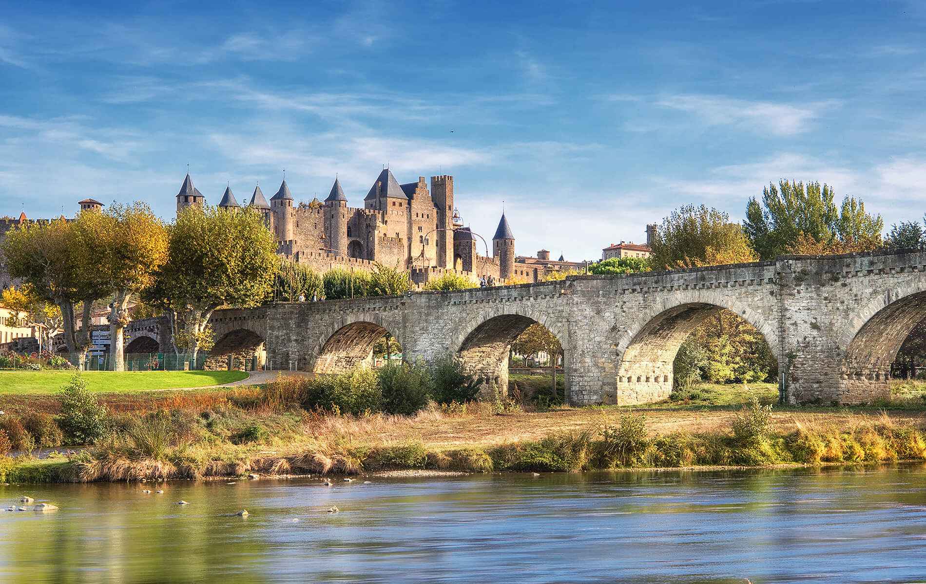 Cerise Carcassonne Sud