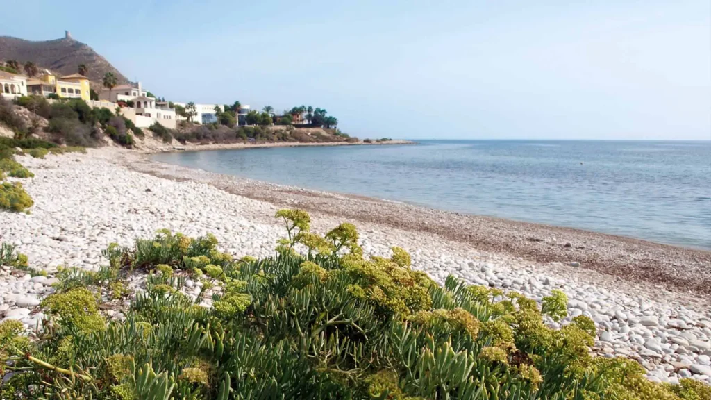 De beste hondvriendelijke stranden aan de Costa Blanca om samen met je huisdier van te genieten - Climia Hotels