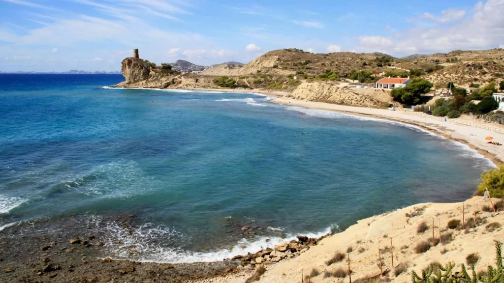De beste hondvriendelijke stranden aan de Costa Blanca om samen met je huisdier van te genieten - Climia Hotels