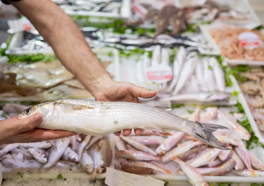 Sustainability - Cullera Holiday