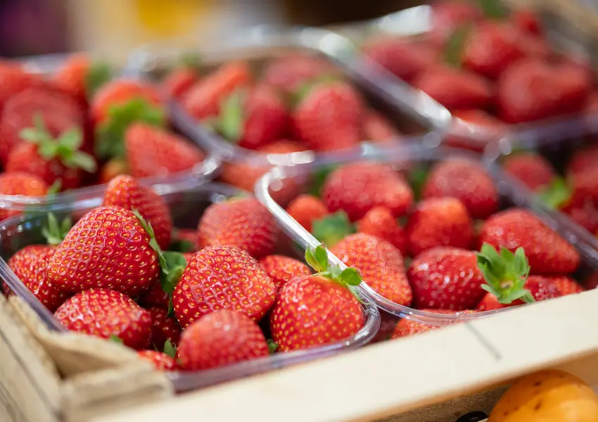 Sustainability - Cullera Holiday