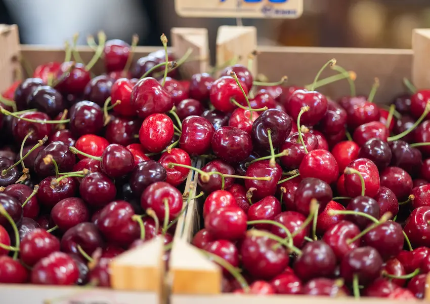 Sustainability - Cullera Holiday