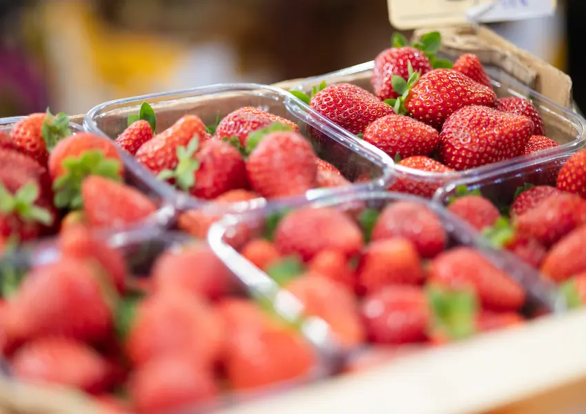 Sostenibilidad - Cullera Holiday