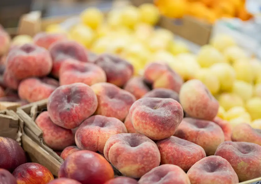 Sustainability - Cullera Holiday