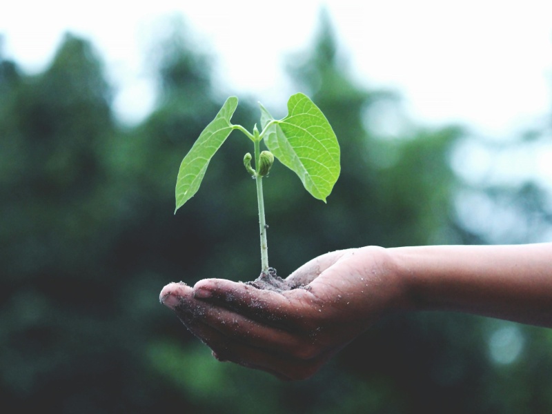 Sostenibilidad - Cullera Holiday