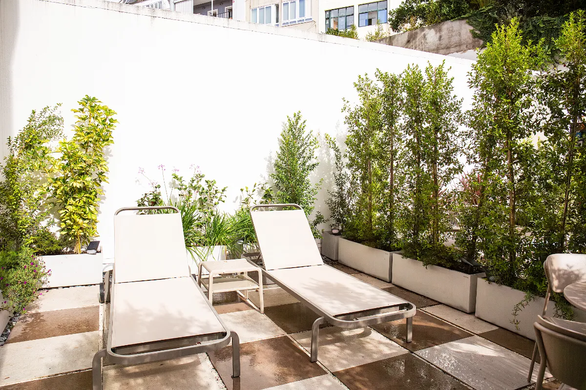 Terraza con dos tumbonas, plantas en macetas y un muro blanco bajo un cielo despejado.