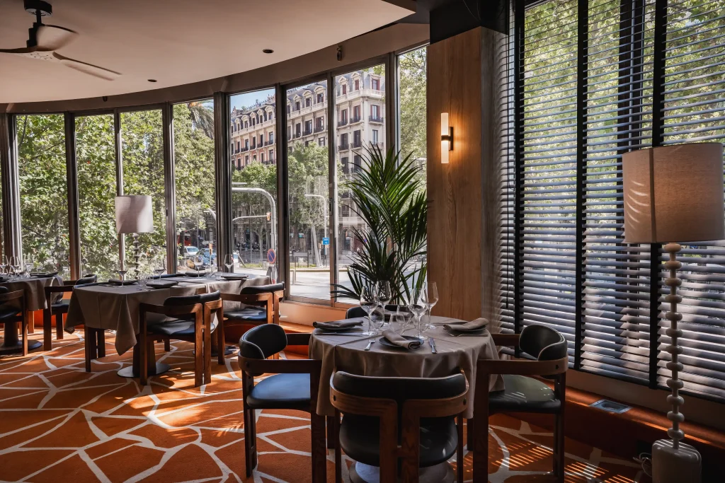 54840682024_2b10582e75_o-_2__11zon