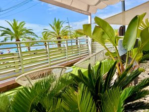 Galerie - Hotel Neptuno