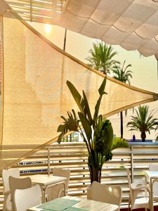 Galerie - Hotel Neptuno