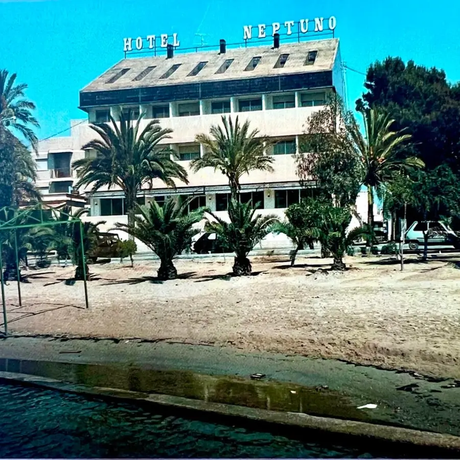 Hotel Neptuno, edificio frente a palmeras y piscina al aire libre