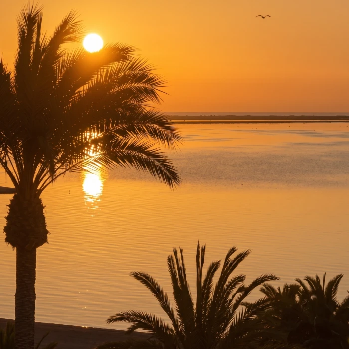 Atardecer sobre la playa con palmeras y reflejos del sol en el agua
