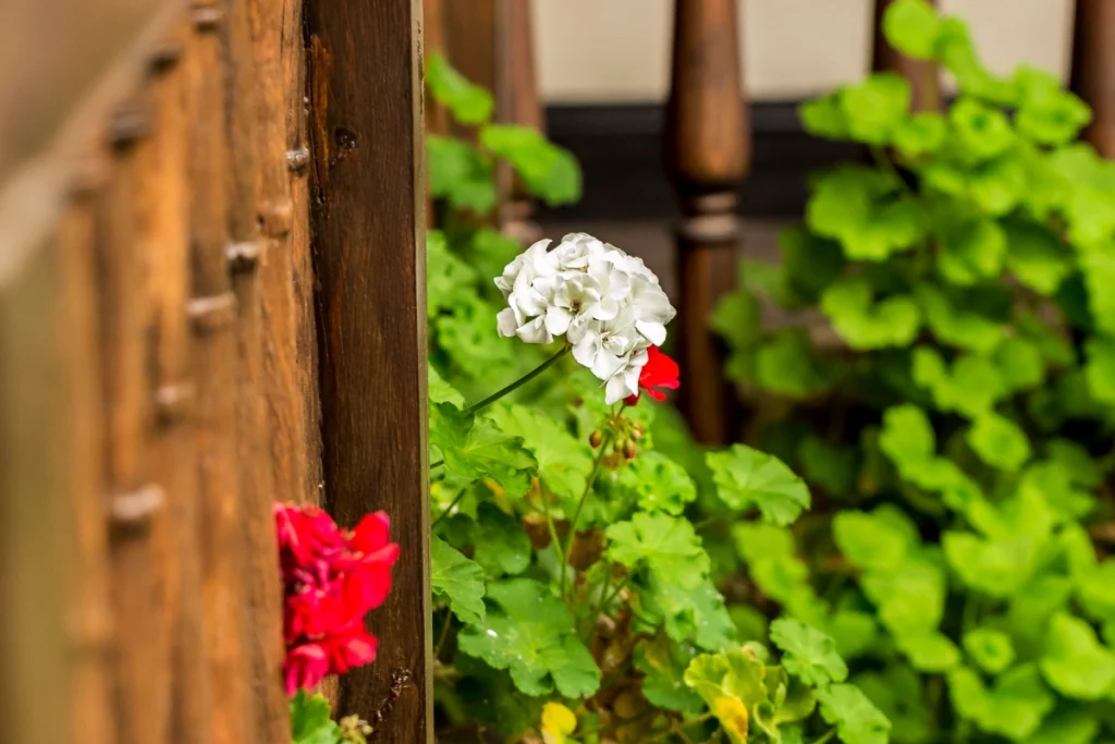 Sostenibilidad - Hotel Casa 1800