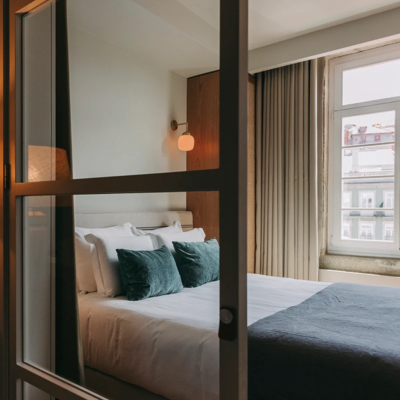 Curcuma - Torel 1884