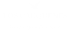 Promociones - Alvarez Argüelles Hoteles