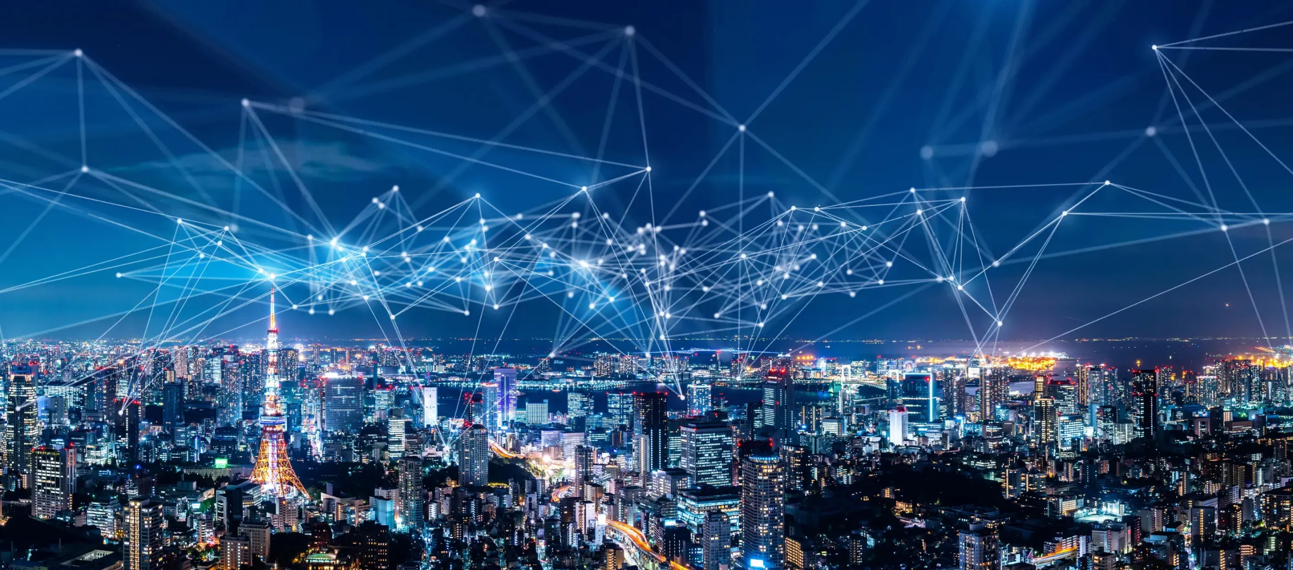 Night view of a city illuminated with digital connection networks