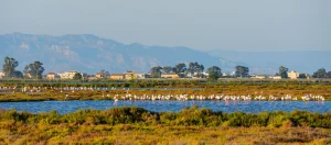 Hotel in Tortosa: discover the Hotel SB Corona Tortosa in the heart of the Terres de l’Ebre. - SB Hotels