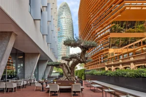 Recuperando datos. Espere unos segundos e intente cortar o copiar de nuevo.