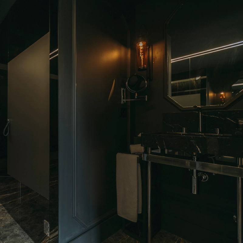 Camilo Castelo Branco - Torel Palace Porto