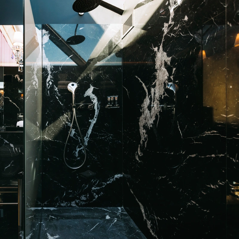 Fernando Namora - Torel Palace Porto