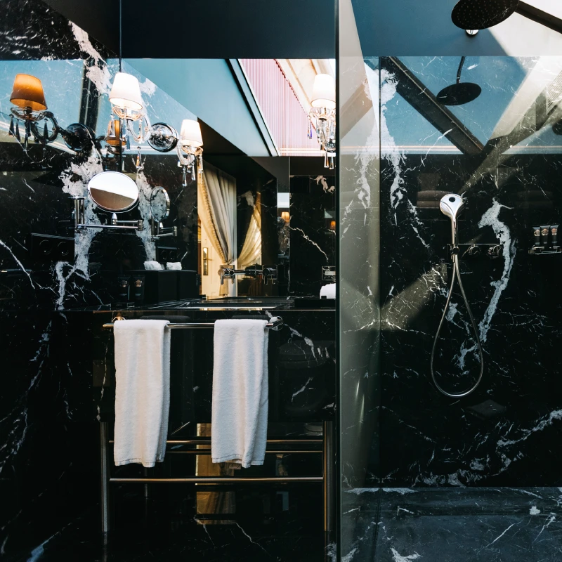 Fernando Namora - Torel Palace Porto