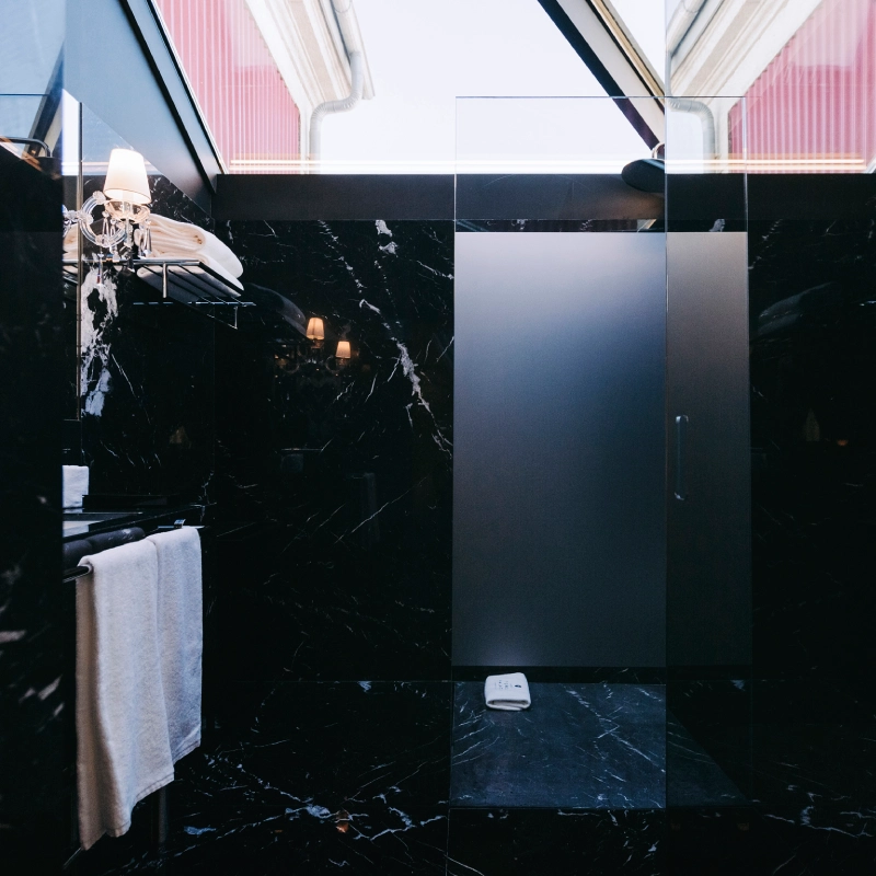 Eugénio de Andrade - Torel Palace Porto