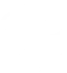 BLIND, MICHELIN Star Restaurant since 2025 in the heart of Porto, Portugal