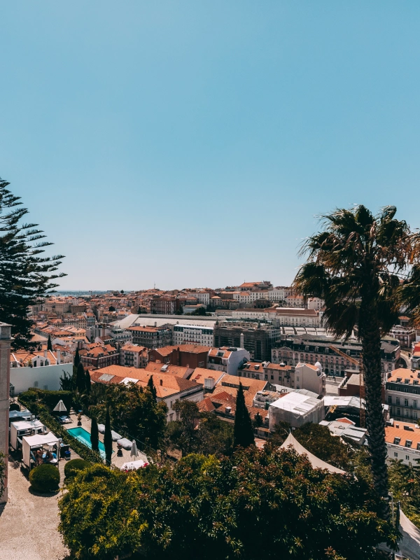 Dom Afonso Henriques - Torel Palace Lisbon
