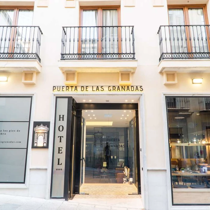 H&ocirc;tel en 3D - Hotel Puerta de las Granadas