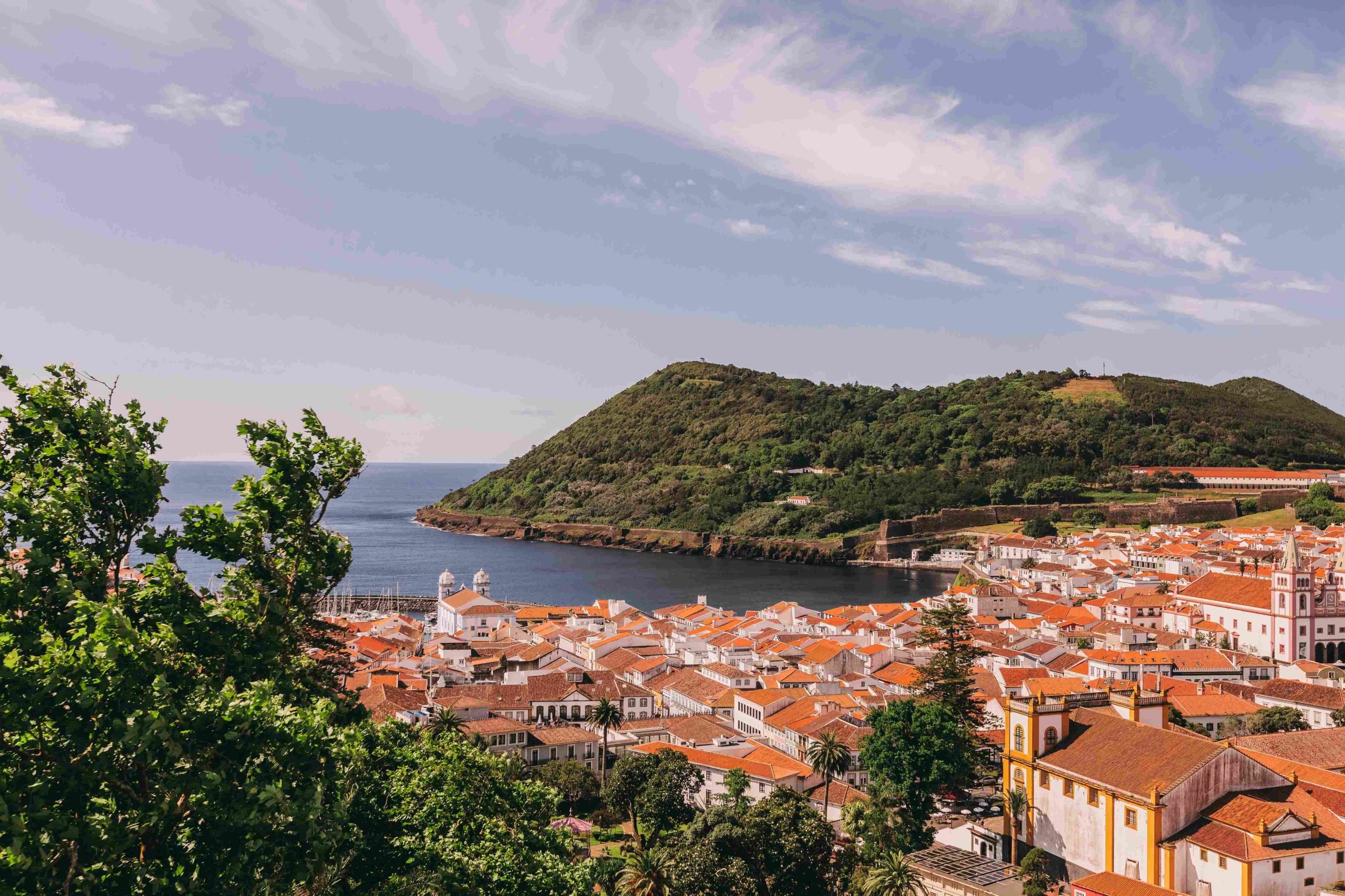 Torel Terra Brava