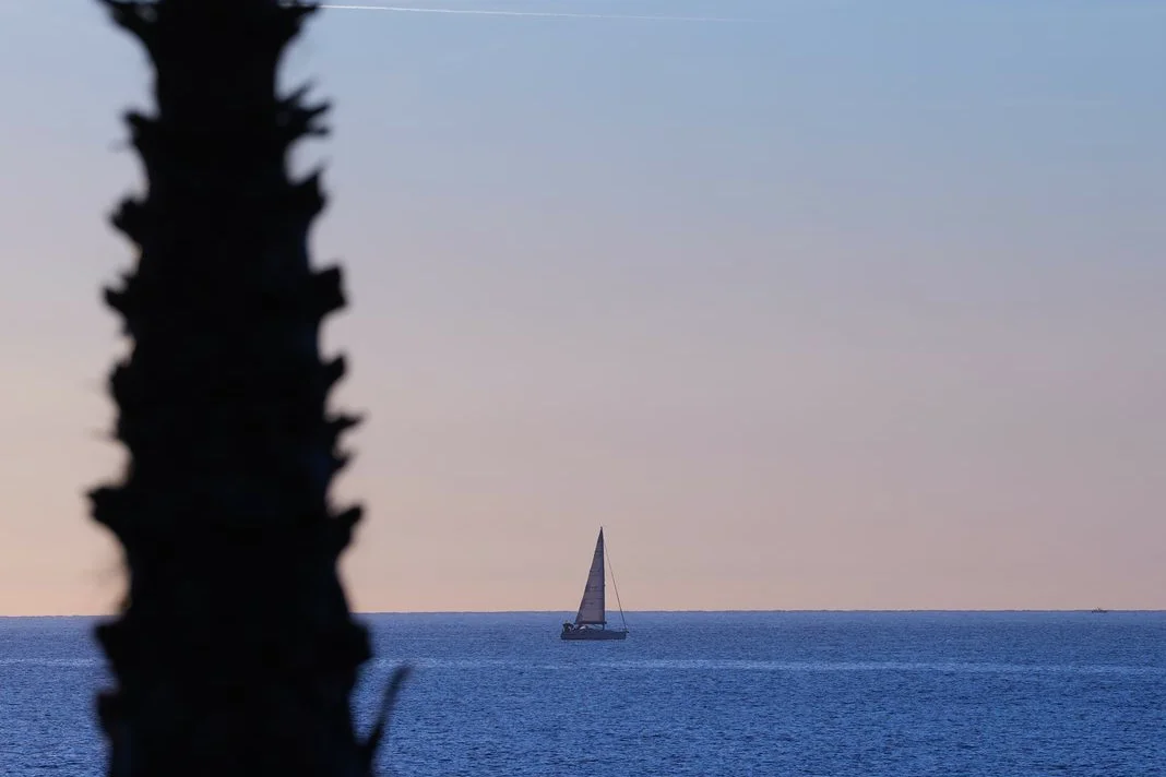 Palmera y velero en el mar al atardecer en Lloret de Mar