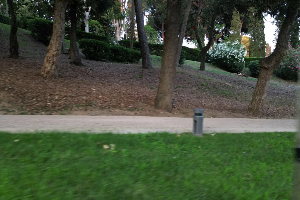 Bosque y prado en el interior de Lloret de Mar