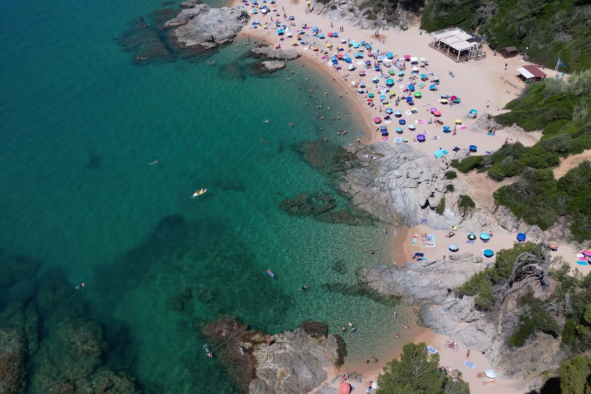 Cala de la Costa Brava cerca de Lloret con pinar sobre el agua
