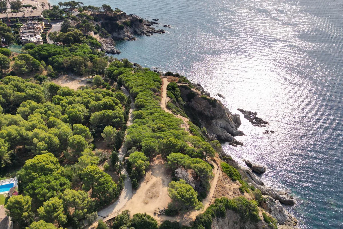 Acantilados y pinar sobre el mar en la Costa Brava, junto a Lloret de Mar