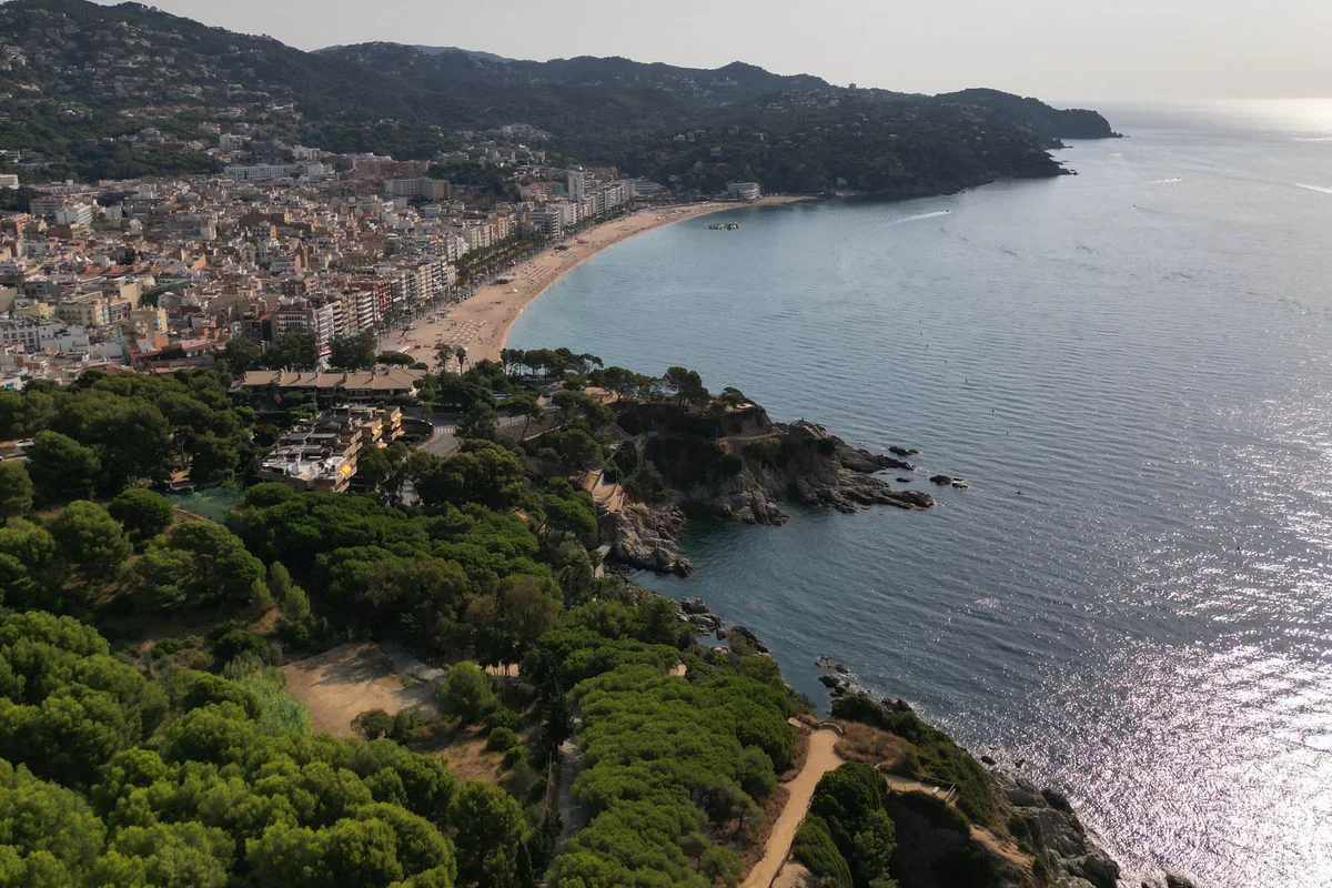 Pinar sobre calas de la Costa Brava