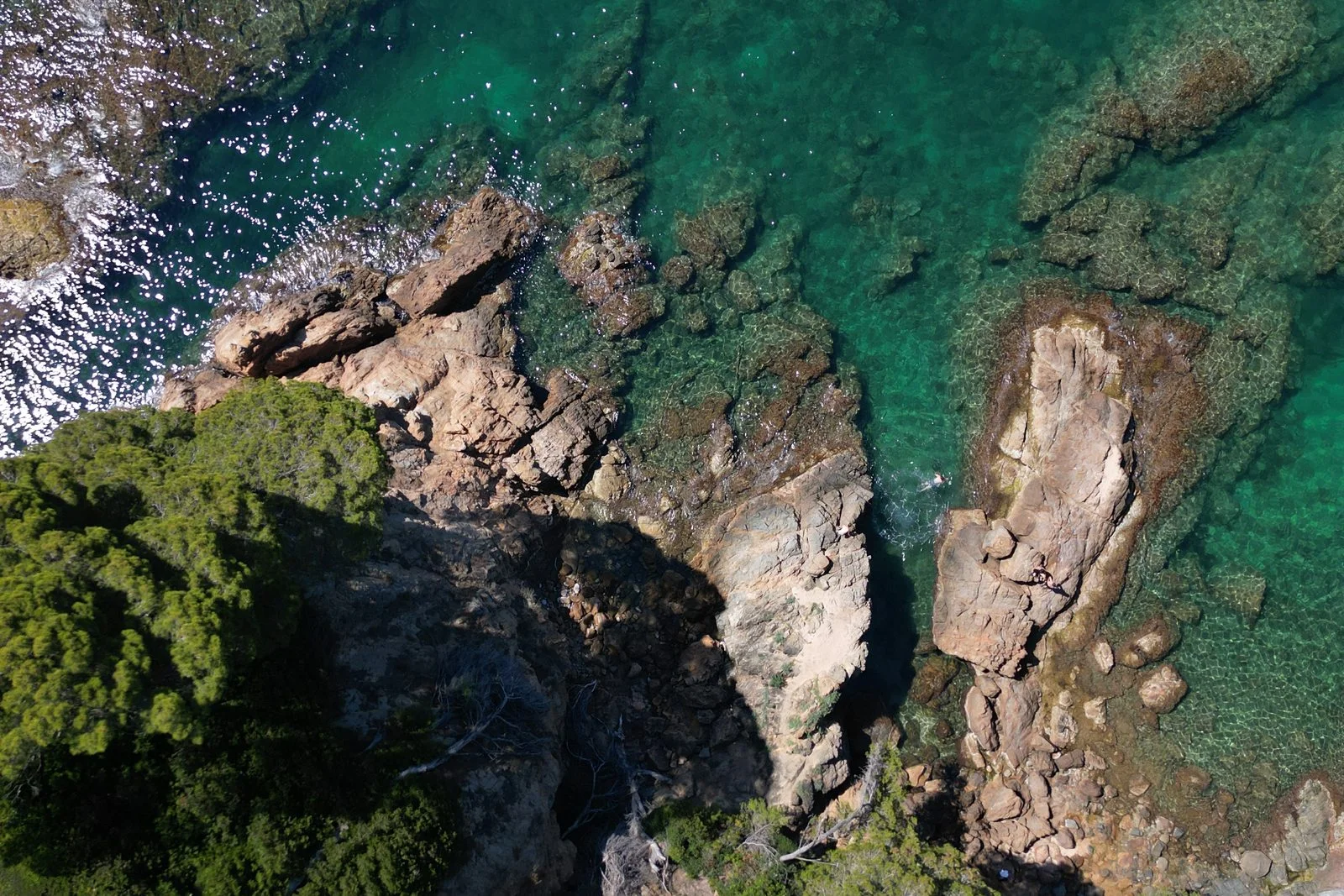 Costa con pinos y rocas entre Lloret de Mar y Tossa de Mar