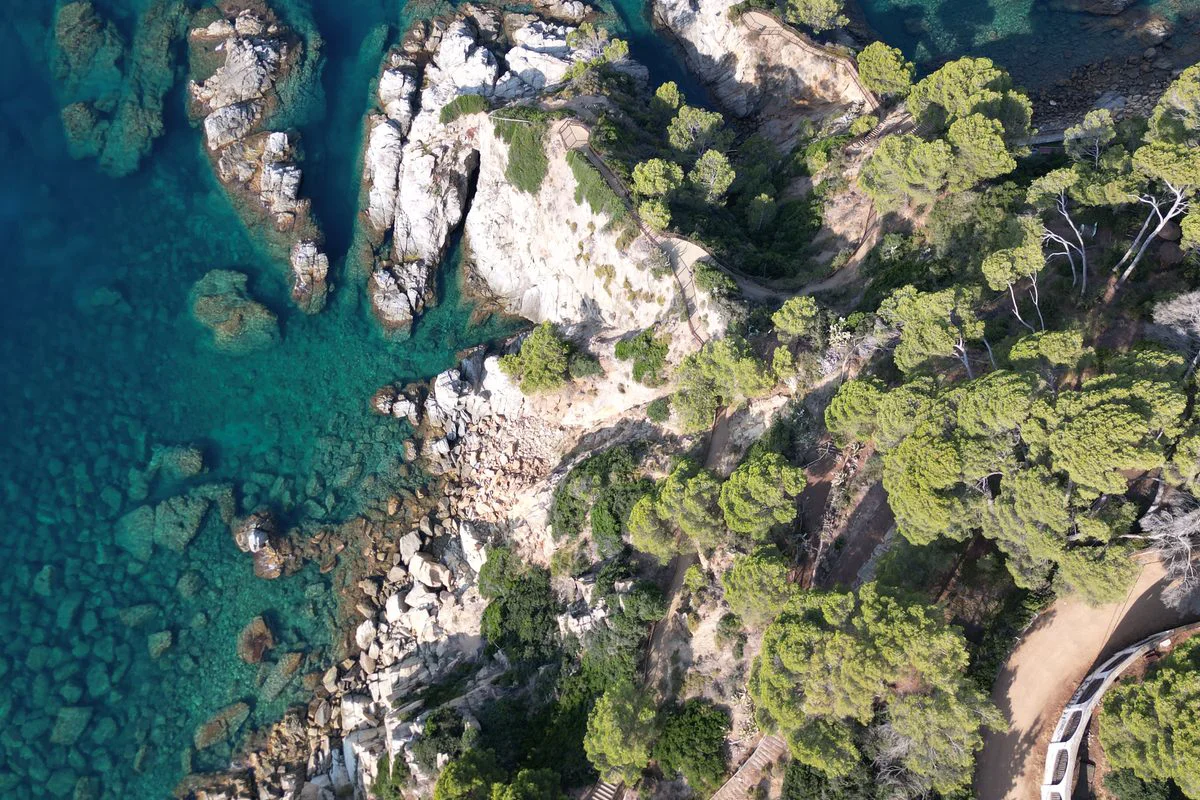 Costa de Lloret de Mar con pinos y calas vista desde el aire