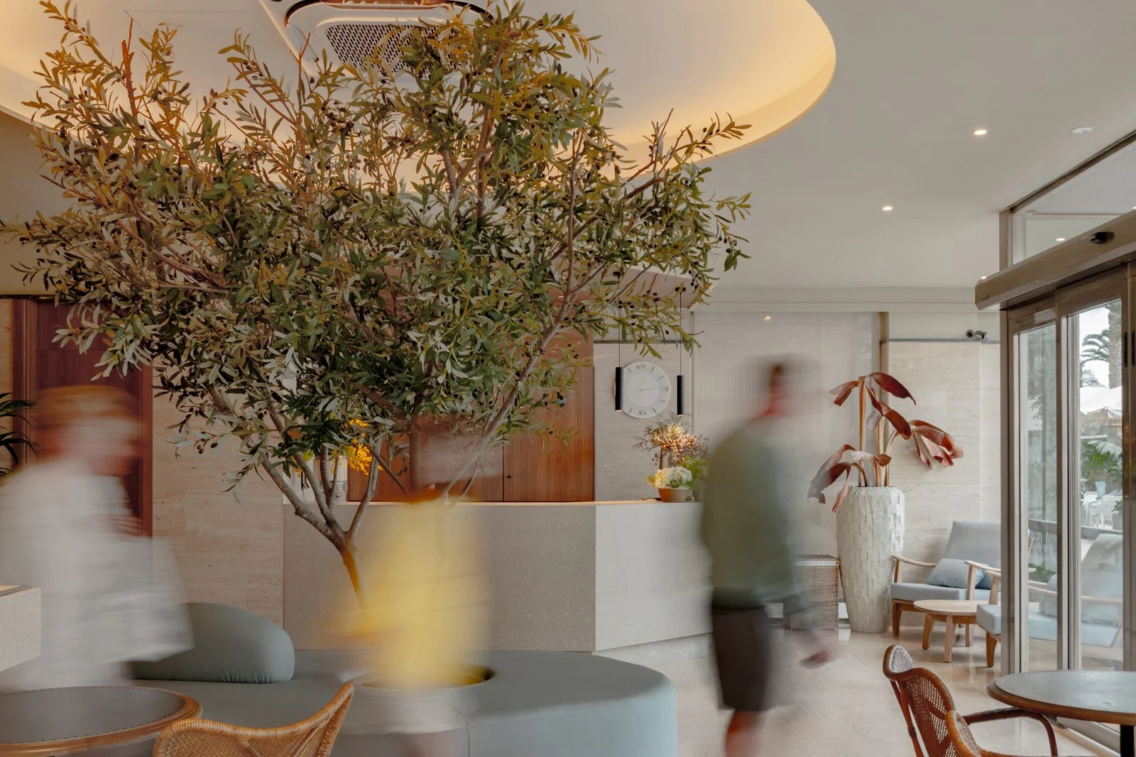 Lobby del Hotel Miramar de Lloret de Mar con un olivo