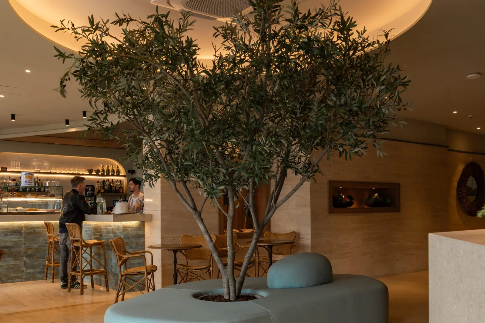 Lobby del Hotel Miramar en Lloret de Mar con un olivo y luz c&aacute;lida de oto&ntilde;o