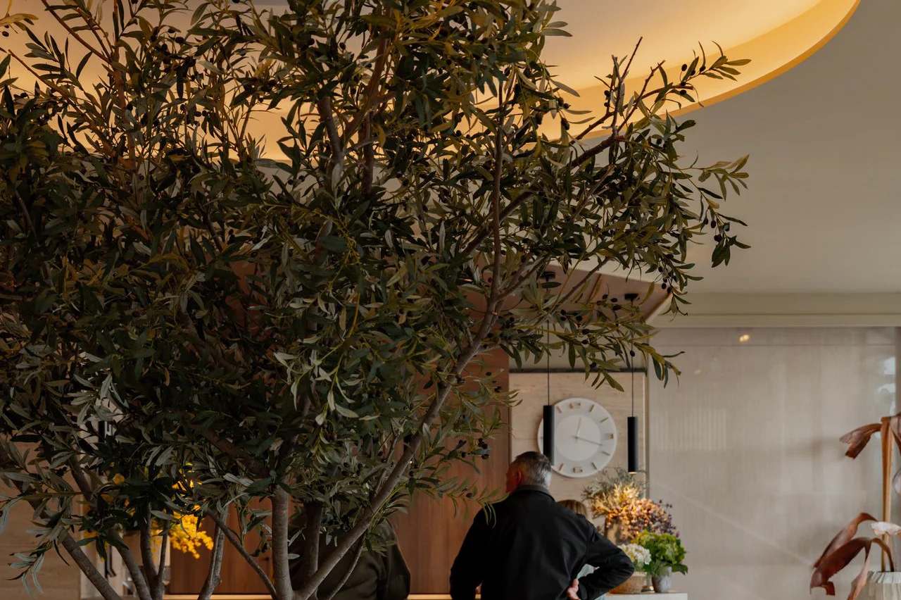 Recepci&oacute;n y lobby del Hotel Miramar con un olivo