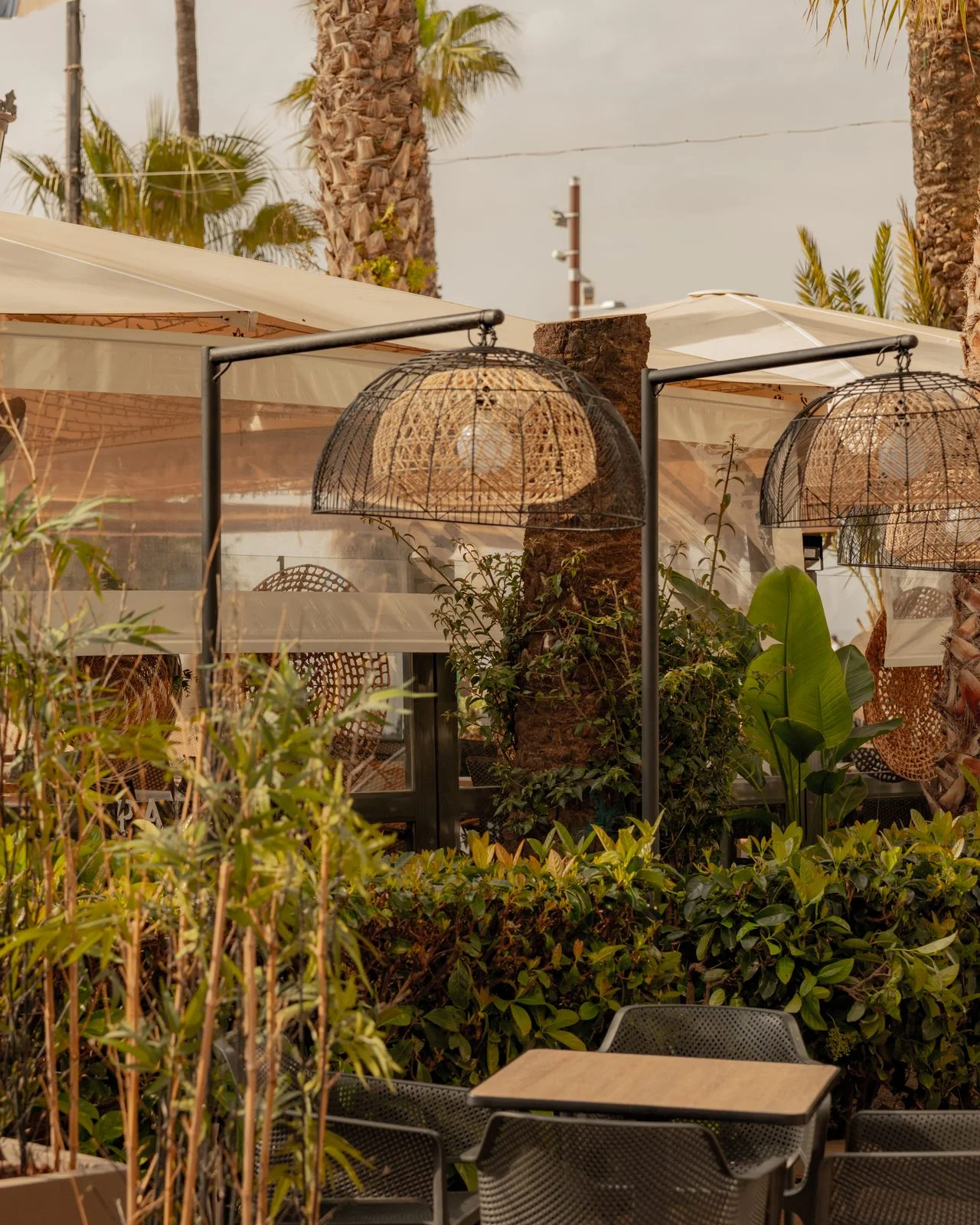 Terraza del Hotel Miramar con plantas y l&aacute;mparas de mimbre