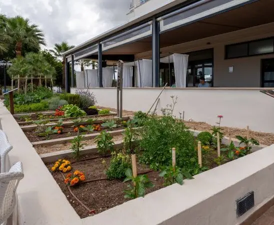 Unterhaltung - Cala Millor Garden Hotel - Garden Hotels