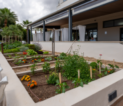 Divertissement - Garden Cala Millor Hotel - Garden Hotels