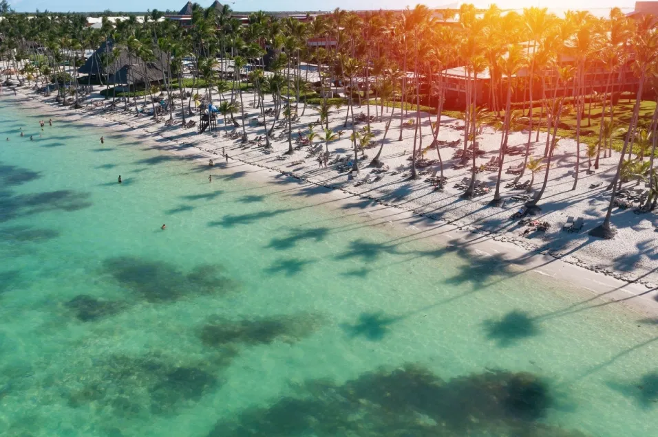 Nivia Punta Cana Hotel & Residences - Garden Hotels