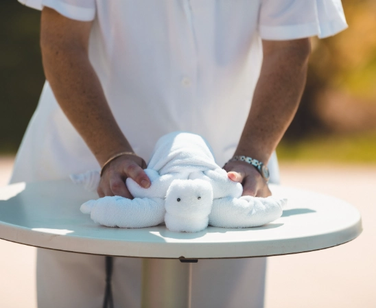 Divertissement - Garden Cala Millor Hotel - Garden Hotels