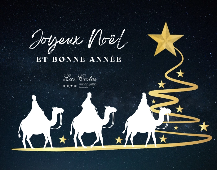 Reyes Magos en camellos con texto "Joyeux No&euml;l et Bonne Ann&eacute;e" y estrella dorada.