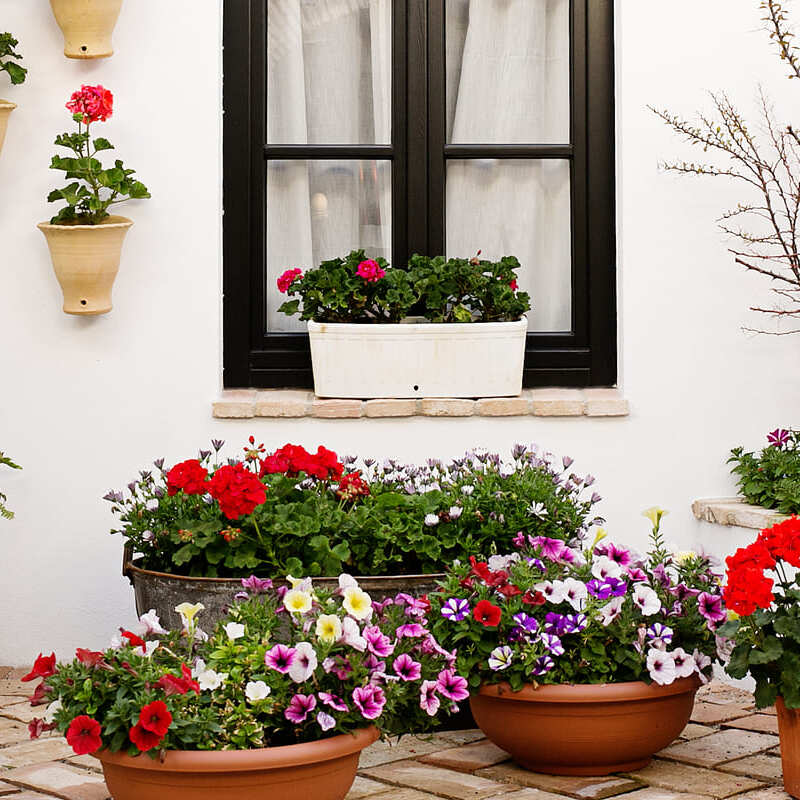 Privacy policy - La Posada de Pilar | C&oacute;rdoba | Web oficial