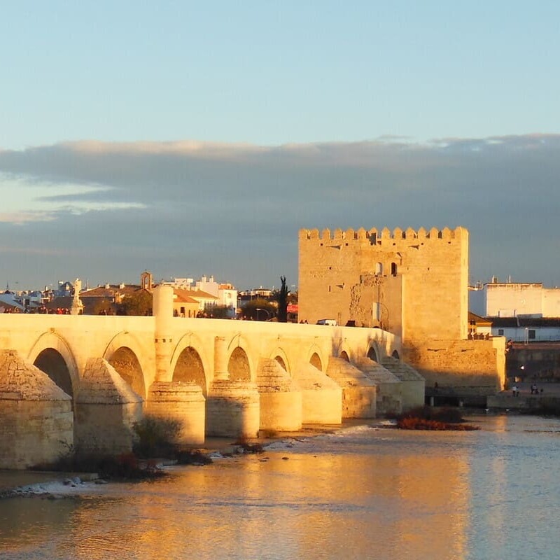 Privacy policy - La Posada de Pilar | C&oacute;rdoba | Web oficial