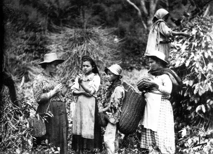 Eje Cafetero - EM Hotels