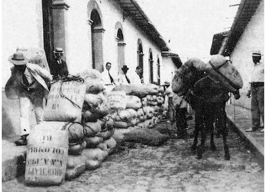 Eje Cafetero - EM Hotels