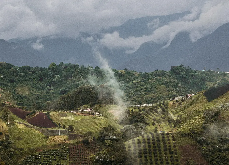 Eje Cafetero - EM Hotels